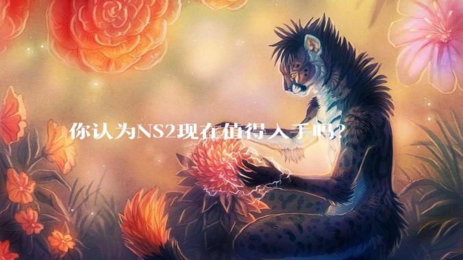 你认为NS2现在值得入手吗？
